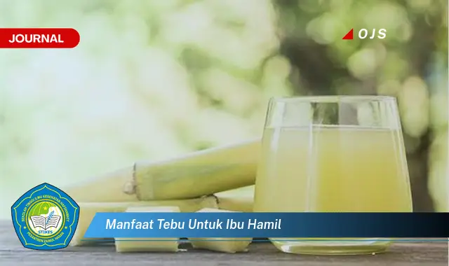 manfaat tebu untuk ibu hamil