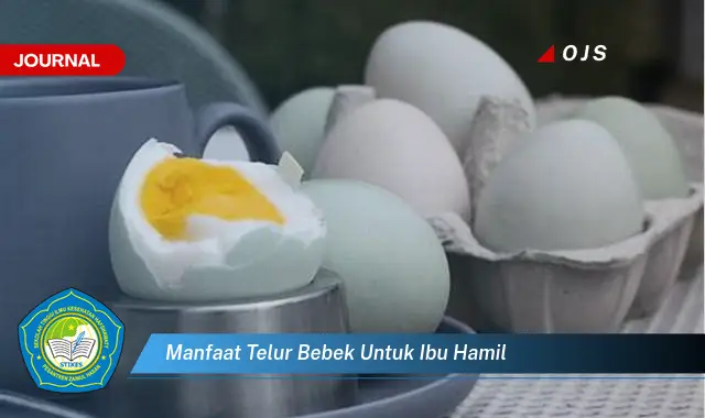 manfaat telur bebek untuk ibu hamil