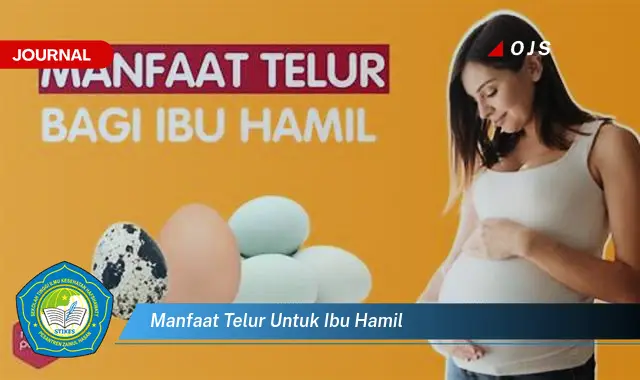 manfaat telur untuk ibu hamil