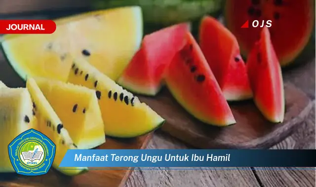 manfaat terong ungu untuk ibu hamil