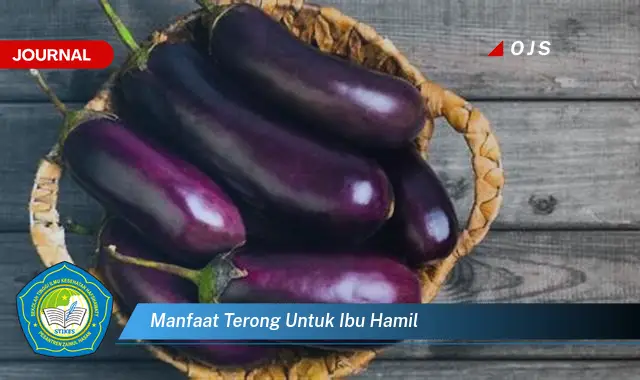 manfaat terong untuk ibu hamil