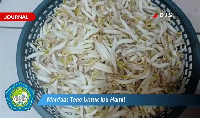 manfaat toge untuk ibu hamil