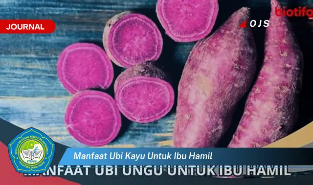 manfaat ubi kayu untuk ibu hamil