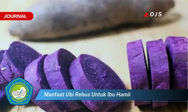 manfaat ubi rebus untuk ibu hamil manfaat ubi rebus untuk ibu hamil