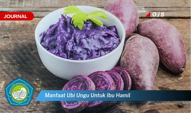 manfaat ubi ungu untuk ibu hamil manfaat ubi ungu untuk ibu hamil