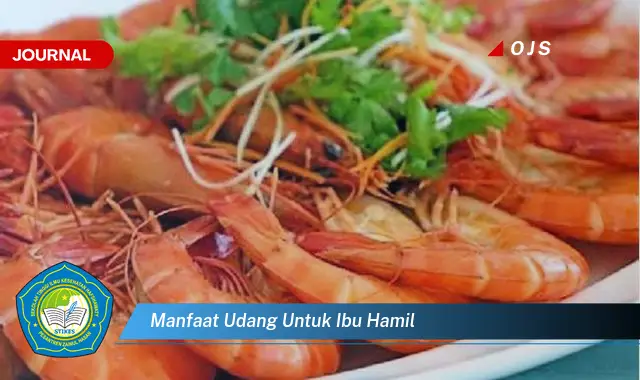 manfaat udang untuk ibu hamil