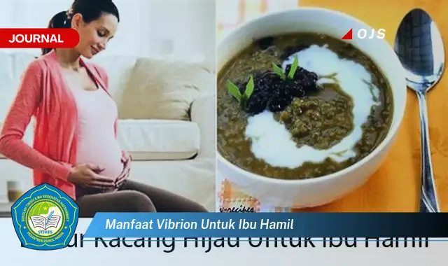 manfaat vibrion untuk ibu hamil