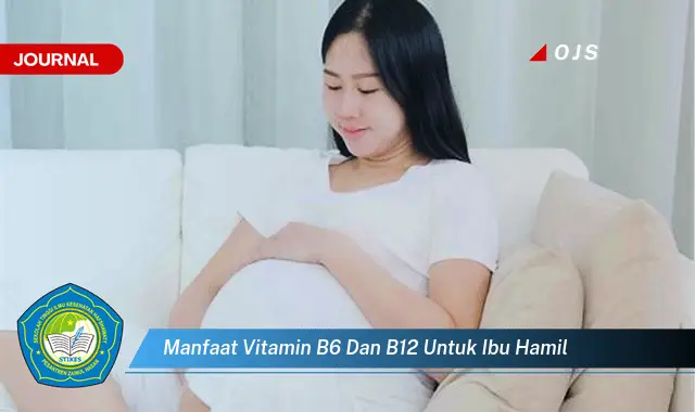 manfaat vitamin b6 dan b12 untuk ibu hamil manfaat vitamin b6 dan b12 untuk ibu hamil