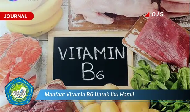 manfaat vitamin b6 untuk ibu hamil