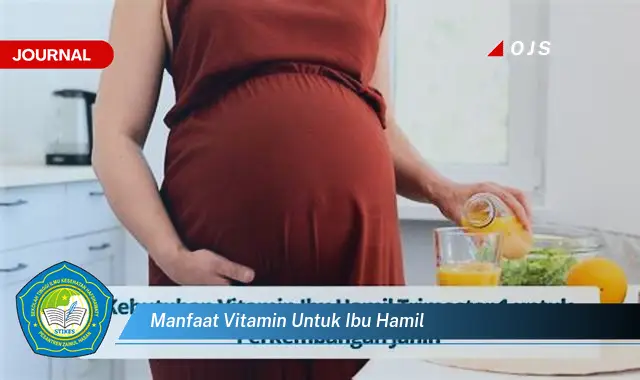 manfaat vitamin untuk ibu hamil manfaat vitamin untuk ibu hamil