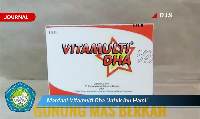 manfaat vitamulti dha untuk ibu hamil