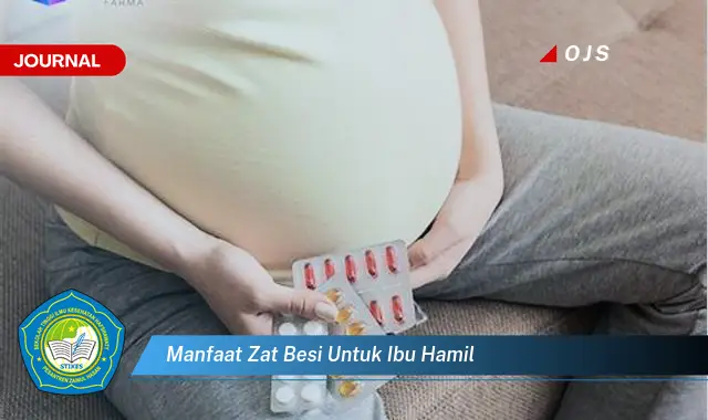 manfaat zat besi untuk ibu hamil