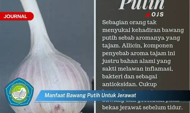 manfaat bawang putih untuk jerawat manfaat bawang putih untuk jerawat
