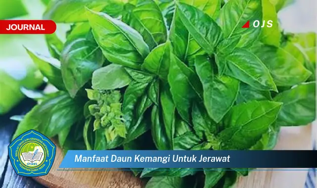 manfaat daun kemangi untuk jerawat