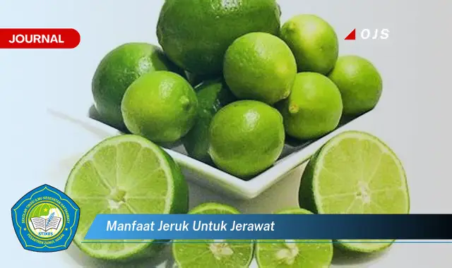 manfaat jeruk untuk jerawat