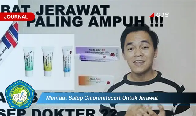 manfaat salep chloramfecort untuk jerawat manfaat salep chloramfecort untuk jerawat