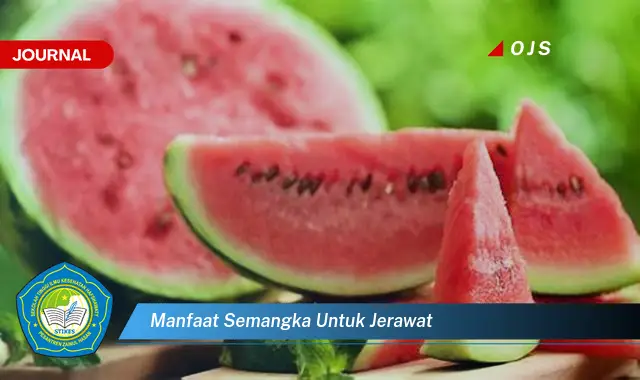 manfaat semangka untuk jerawat