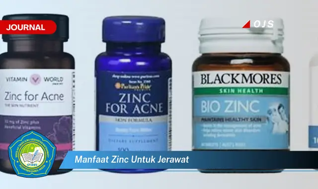 manfaat zinc untuk jerawat manfaat zinc untuk jerawat