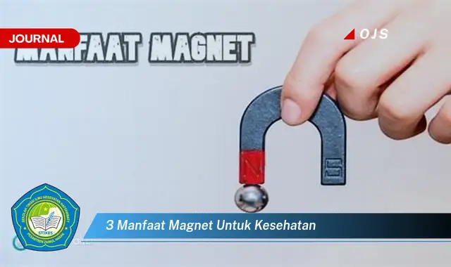 3 manfaat magnet untuk kesehatan