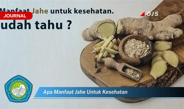 apa manfaat jahe untuk kesehatan