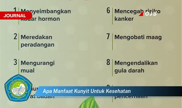 apa manfaat kunyit untuk kesehatan