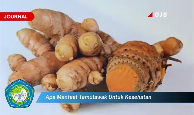apa manfaat temulawak untuk kesehatan