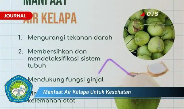 manfaat air kelapa untuk kesehatan