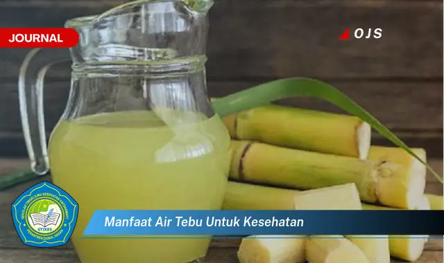 manfaat air tebu untuk kesehatan