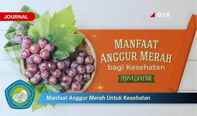 manfaat anggur merah untuk kesehatan manfaat anggur merah untuk kesehatan