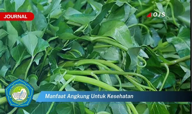 manfaat angkung untuk kesehatan