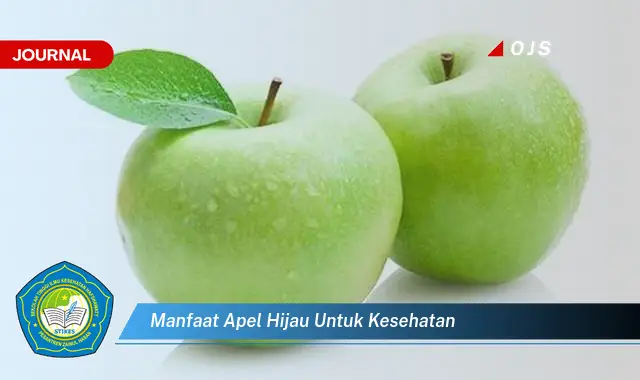 manfaat apel hijau untuk kesehatan manfaat apel hijau untuk kesehatan