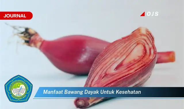 manfaat bawang dayak untuk kesehatan manfaat bawang dayak untuk kesehatan