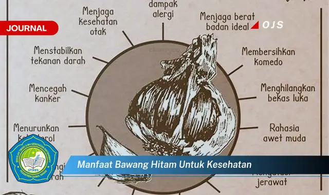 manfaat bawang hitam untuk kesehatan