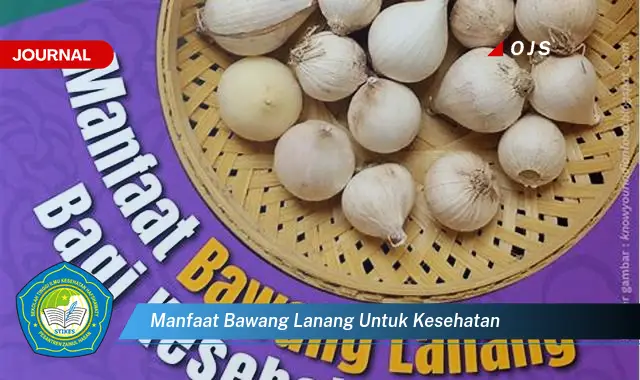 Temukan 6 Manfaat Bawang Lanang untuk Kesehatan yang Bikin Kamu Penasaran - E-Journal