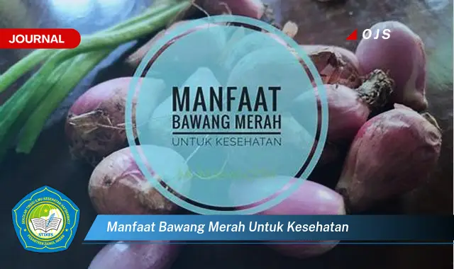 manfaat bawang merah untuk kesehatan