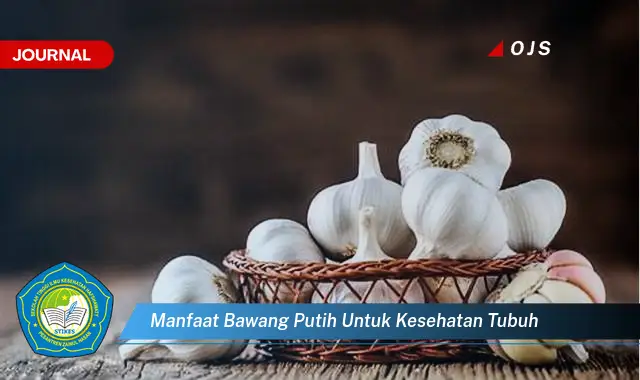 manfaat bawang putih untuk kesehatan tubuh