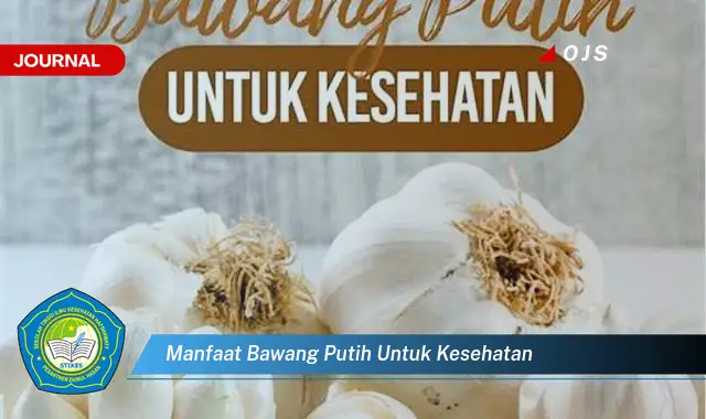 Temukan 6 Manfaat Bawang Putih untuk Kesehatan yang Bikin Kamu Penasaran - E-Journal