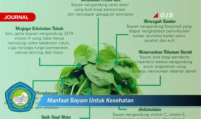 manfaat bayam untuk kesehatan