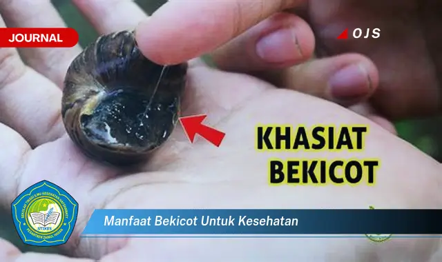 manfaat bekicot untuk kesehatan manfaat bekicot untuk kesehatan