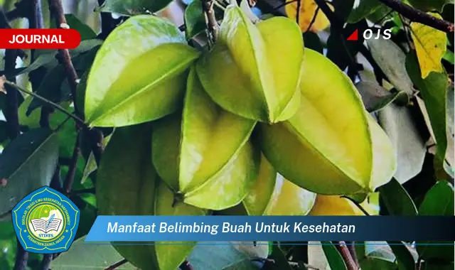 manfaat belimbing buah untuk kesehatan manfaat belimbing buah untuk kesehatan