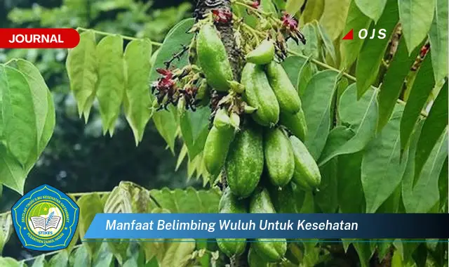 manfaat belimbing wuluh untuk kesehatan