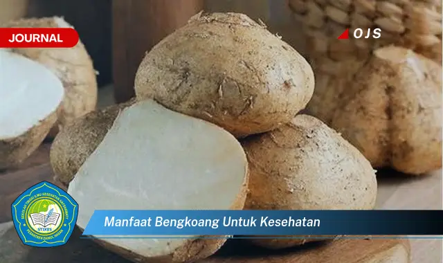 manfaat bengkoang untuk kesehatan