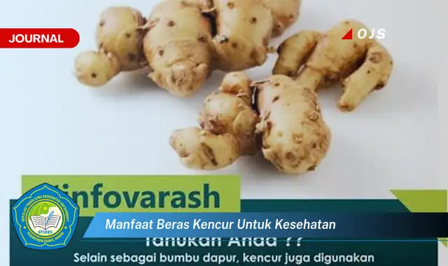 manfaat beras kencur untuk kesehatan