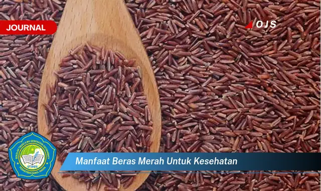 manfaat beras merah untuk kesehatan