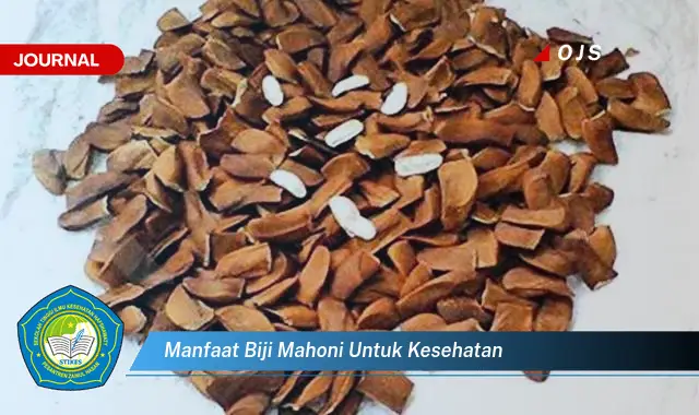 manfaat biji mahoni untuk kesehatan