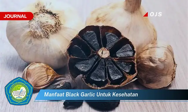 manfaat black garlic untuk kesehatan manfaat black garlic untuk kesehatan