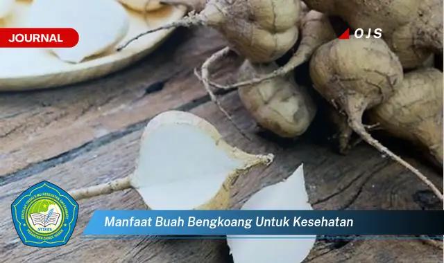 manfaat buah bengkoang untuk kesehatan