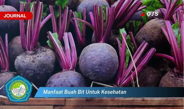 manfaat buah bit untuk kesehatan