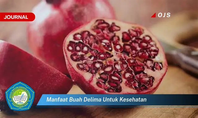 manfaat buah delima untuk kesehatan