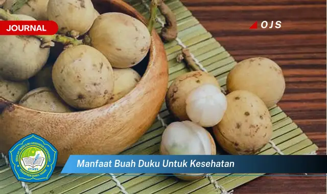 manfaat buah duku untuk kesehatan